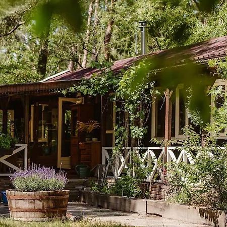 Forest Cottage With Lovely Garden & Sauna Doornspijk Zewnętrze zdjęcie