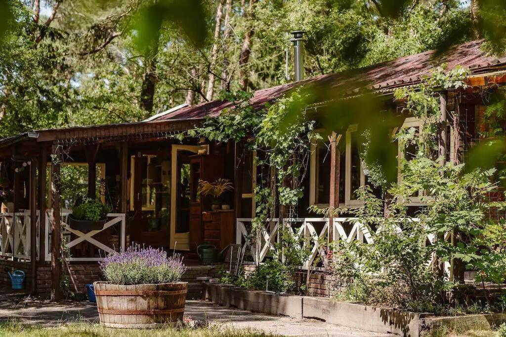 Forest Cottage With Lovely Garden & Sauna Doornspijk Zewnętrze zdjęcie