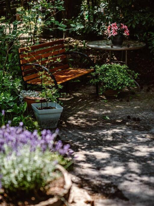 Forest Cottage With Lovely Garden & Sauna Doornspijk Zewnętrze zdjęcie
