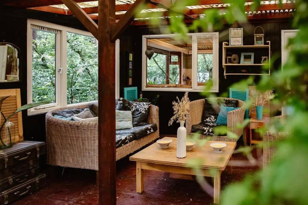 Forest Cottage With Lovely Garden & Sauna Doornspijk Zewnętrze zdjęcie