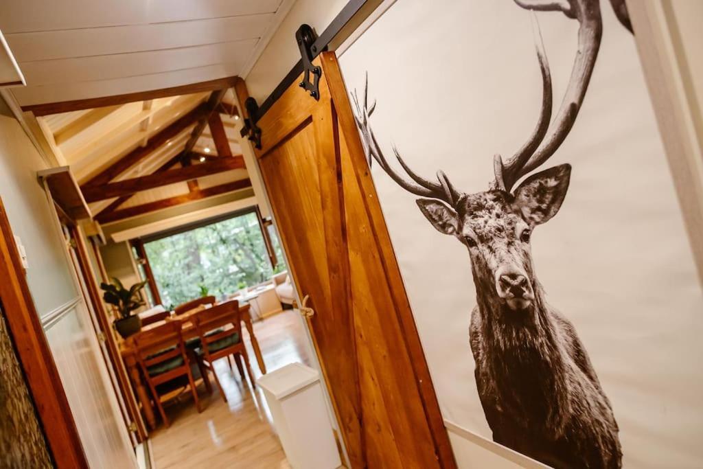 Forest Cottage With Lovely Garden & Sauna Doornspijk Zewnętrze zdjęcie