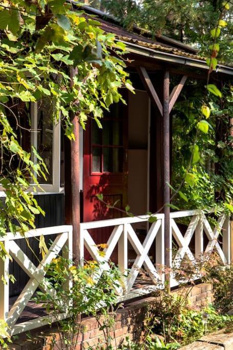 Forest Cottage With Lovely Garden & Sauna Doornspijk Zewnętrze zdjęcie